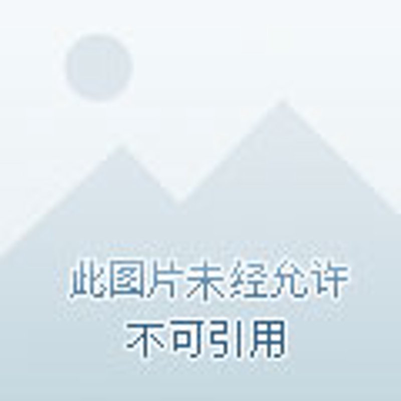 城市规划设计：透视未来发展方向